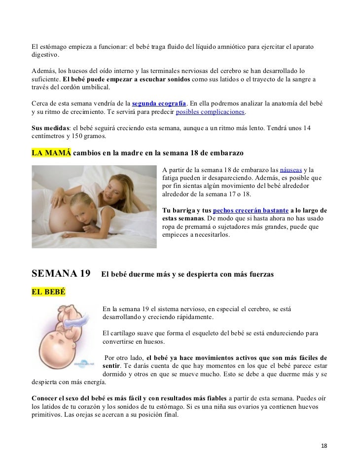 En Que Semana De Embarazo El Bebe Empieza A Escuchar - Articulo Para Bebes - A Las Cuantas Semanas Se Empieza A Mover El Bebe