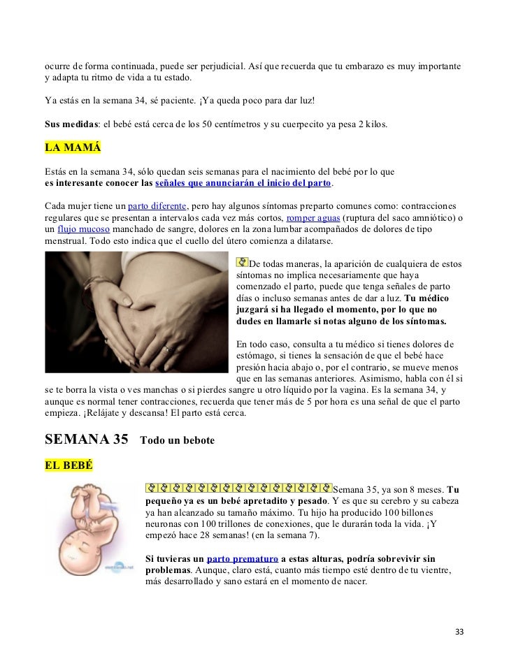 Embarazo Semana A Semana