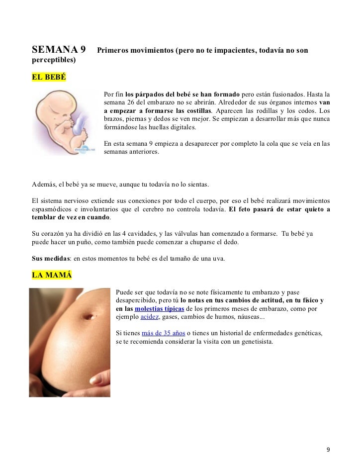 A Las Cuantas Semanas Se Siente El Movimiento Del Bebe - Articulo Para - A Las Cuantas Semanas Se Empieza A Mover El Bebe