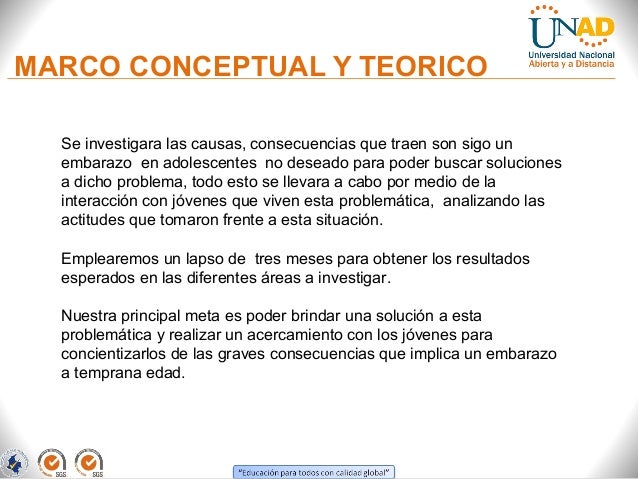 Embarazos En Adolescentes Seminario De Investigación