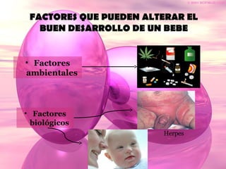 FACTORES QUE PUEDEN ALTERAR EL
BUEN DESARROLLO DE UN BEBE
• Factores
ambientales
• Factores
biológicos
Herpes
 