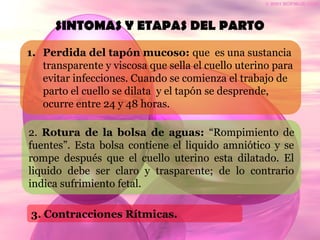 SINTOMAS Y ETAPAS DEL PARTO
1. Perdida del tapón mucoso: que es una sustancia
transparente y viscosa que sella el cuello uterino para
evitar infecciones. Cuando se comienza el trabajo de
parto el cuello se dilata y el tapón se desprende,
ocurre entre 24 y 48 horas.
2. Rotura de la bolsa de aguas: “Rompimiento de
fuentes”. Esta bolsa contiene el liquido amniótico y se
rompe después que el cuello uterino esta dilatado. El
liquido debe ser claro y trasparente; de lo contrario
indica sufrimiento fetal.
3. Contracciones Rítmicas.
 