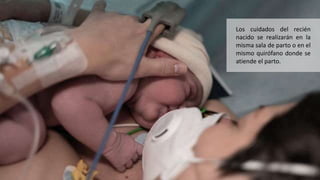 Los cuidados del recién
nacido se realizarán en la
misma sala de parto o en el
mismo quirófano donde se
atiende el parto.
 