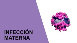 INFECCIÓN
MATERNA
 