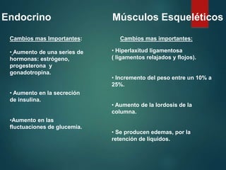 Endocrino Músculos Esqueléticos
Cambios mas Importantes:
• Aumento de una series de
hormonas: estrógeno,
progesterona y
gonadotropina.
• Aumento en la secreción
de insulina.
•Aumento en las
fluctuaciones de glucemia.
Cambios mas importantes:
• Hiperlaxitud ligamentosa
( ligamentos relajados y flojos).
• Incremento del peso entre un 10% a
25%.
• Aumento de la lordosis de la
columna.
• Se producen edemas, por la
retención de líquidos.
 