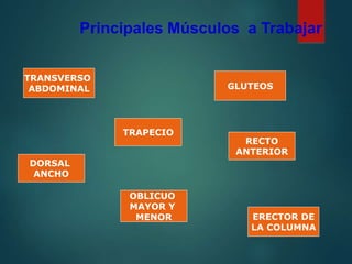 Principales Músculos a Trabajar
TRAPECIO
DORSAL
ANCHO
RECTO
ANTERIOR
OBLICUO
MAYOR Y
MENOR
GLUTEOS
TRANSVERSO
ABDOMINAL
ERECTOR DE
LA COLUMNA
 