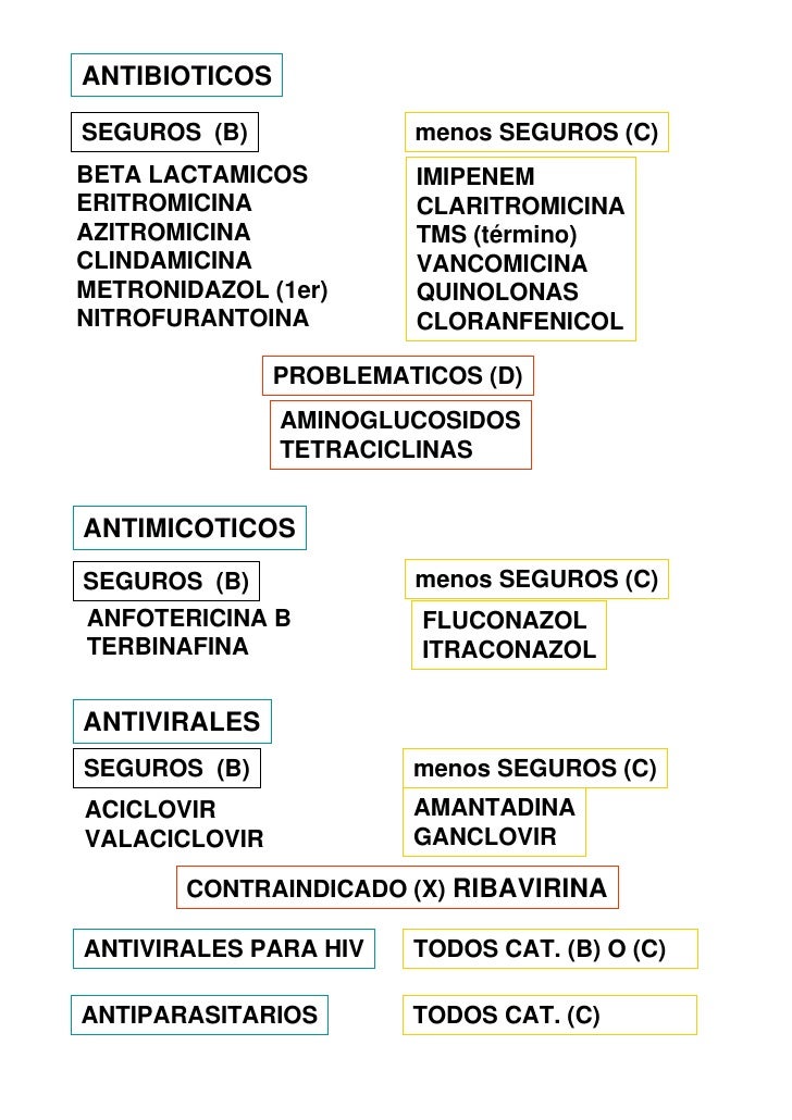 Embarazo Y Lactancia Embarazo Y Lactancia