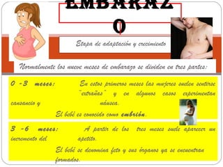 EMBARAZ
                      O
                      Etapa de adaptación y crecimiento

   Normalmente los nueve meses de embarazo se dividen en tres partes:
0 -3 meses:             En estos primeros meses las mujeres suelen sentirse
                       “extrañas” y en algunos casos experimentan
cansancio y                      náusea.
               El bebé es conocido como embrión.
3 -6 meses:               A partir de los tres meses suele aparecer un
incremento del         apetito.
               El bebé se denomina feto y sus órganos ya se encuentran
               formados.
 