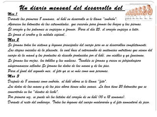 Un diario mensual del desarrollo del bebé
Mes 1
Durante las primeras 8 semanas, al bebé en desarrollo se le llama ''embrión".
Aparecen los botoncitos de las extremidades, que crecerán para formar los brazos y las piernas.
El corazón y los pulmones se empiezan a formar. Para el día 25, el corazón empieza a latir.
Se forma el cerebro y la médula espinal,.
Mes 2
Se forman todos los sistema y órganos principales del cuerpo pero no se desarrollan completamente.
Las etapas iniciales de la placenta, la cual hace el intercambio de sustancias nutritivas que vienen del
cuerpo de la mamá y los productos de desecho producidos por el bebé, son visibles y ya funcionan.
Se forman las orejas, los tobillos y las muñecas. También se forman y crecen os párpadospero
aúnpermanecen sellados Se forman los dedos de las manos y de los pies.
Para el final del segundo mes, el feto ya se ve más como una personas.
Mes 3
Después de 8 semanas como embrión, al bebé ahora se le llama ''feto".
Los dedos de las manos y de los pies ahora tienen uñas suaves. La boca tiene 20 botoncitos que se
convertirán en los ''dientes de leche".
Por primera vez, se puede oír los latidos del corazón de su bebé (10 a 12 semanas).
Durante el resto del embarazo. Todos los órganos del cuerpo madurarán y el feto aumentará de peso .
 