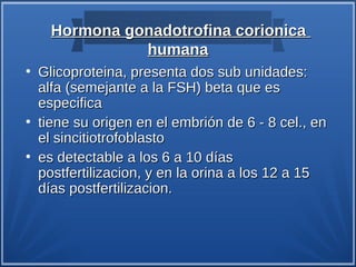 Hormona gonadotrofina corionica
                humana
●
    Glicoproteina, presenta dos sub unidades:
    alfa (semejante a la FSH) beta que es
    especifica
●
    tiene su origen en el embrión de 6 - 8 cel., en
    el sincitiotrofoblasto
●
    es detectable a los 6 a 10 días
    postfertilizacion, y en la orina a los 12 a 15
    días postfertilizacion.
 