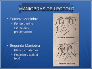 MANIOBRAS DE LEOPOLD

●
    Primera Maniobra
    –   Fondo uterino
    –   Situacion y
        presentacion



●
    Segunda Maniobra
    –   Flancos maternos
    –   Posicion y actitud
        fetal
 