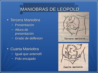MANIOBRAS DE LEOPOLD

●
    Tercera Maniobra
    –   Presentación
    –   Altura de
        presentación
    –   Grado de deflexion


●
    Cuarta Maniobra
    –   Igual que anterioR
    –   Polo encajado
 