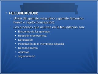 ●
    FECUNDACION:
    –   Unión del gameto masculino y gameto femenino:
        huevo o cigoto (concepción)
    –   Los procesos que ocurren en la fecundacion son:
         ●
             Encuentro de los gametos
         ●
             Reacción cromosomica
         ●
             Denudación
         ●
             Penetración de la membrana pelucida
         ●
             Reconocimiento
         ●
             Anfimixia
         ●
             segmentación
 
