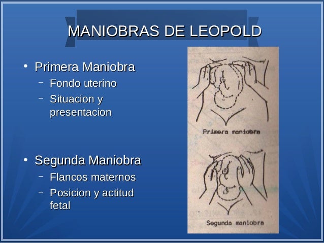 Embarazo y parto