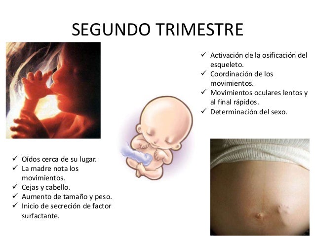 Los síntomas la hernia en el cuello el tratamiento