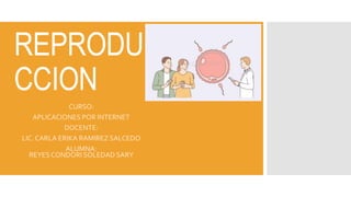 O Y
REPRODU
CCION
CURSO:
APLICACIONES POR INTERNET
DOCENTE:
LIC. CARLA ERIKA RAMIREZ SALCEDO
ALUMNA:
REYES CONDORI SOLEDAD SARY
 