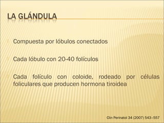  Compuesta por lóbulos conectados
 Cada lóbulo con 20-40 folículos
 Cada folículo con coloide, rodeado por células
foliculares que producen hormona tiroidea
Clin Perinatol 34 (2007) 543–557
 