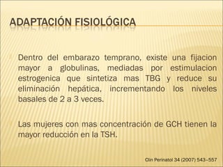  Dentro del embarazo temprano, existe una fijacion
mayor a globulinas, mediadas por estimulacion
estrogenica que sintetiza mas TBG y reduce su
eliminación hepática, incrementando los niveles
basales de 2 a 3 veces.
 Las mujeres con mas concentración de GCH tienen la
mayor reducción en la TSH.
Clin Perinatol 34 (2007) 543–557
 