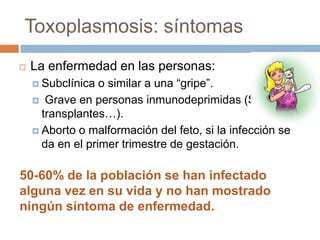 Toxoplasmosis: síntomas
 La enfermedad en las personas:
 Subclínica o similar a una “gripe”.
 Grave en personas inmunodeprimidas (SIDA,
transplantes…).
 Aborto o malformación del feto, si la infección se
da en el primer trimestre de gestación.
50-60% de la población se han infectado
alguna vez en su vida y no han mostrado
ningún síntoma de enfermedad.
 