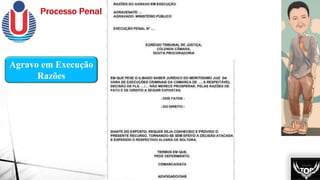 Agravo em Execução
Razões
 