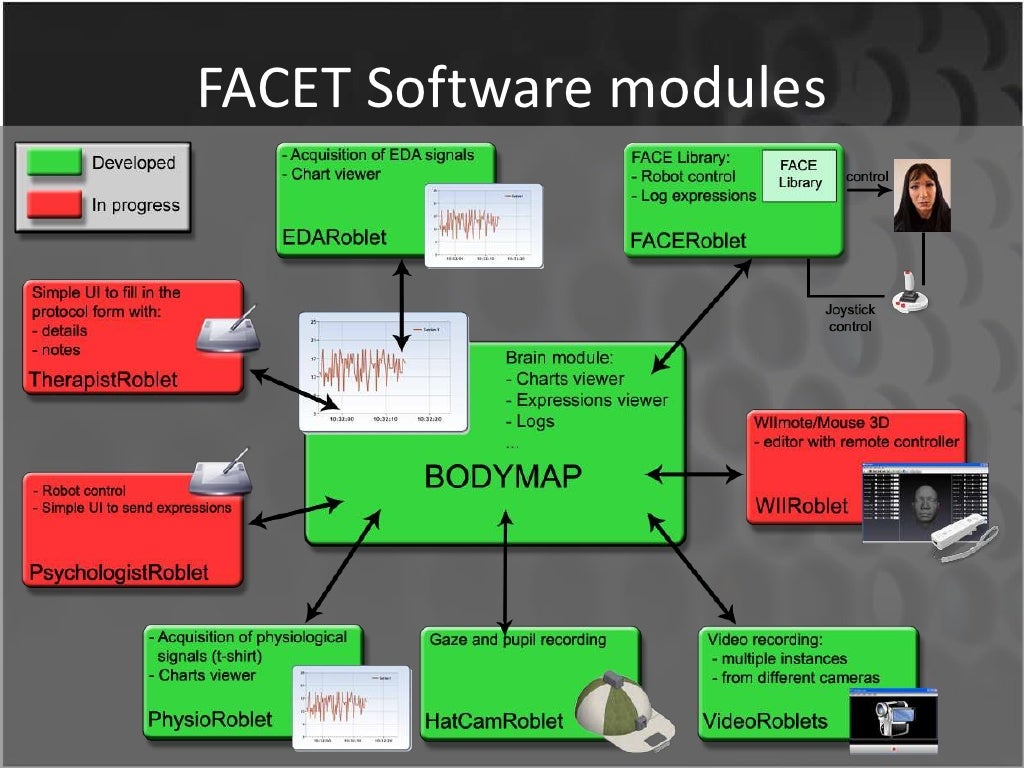 FACET Software modules