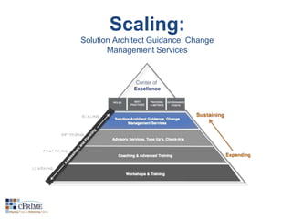 Scaling: 
Solution Architect Guidance, Change 
Management Services 
 