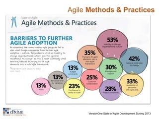 Agile Methods & Practices 
VersionOne State of Agile Development Survey 2013 
 