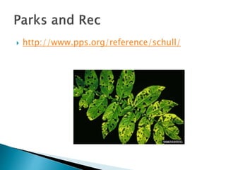  http://www.pps.org/reference/schull/
 