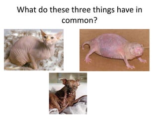 What do these three things have in common?