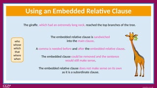 Embedded Relative Clauses.ppsx for english learners | PPSX