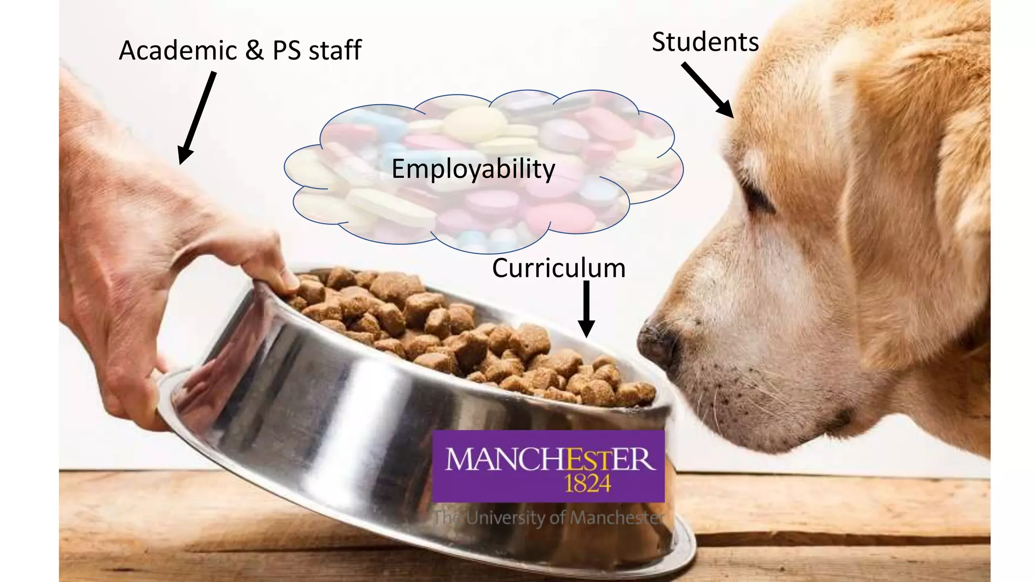 Academic & PS staff
Curriculum
Students
Employability
 
