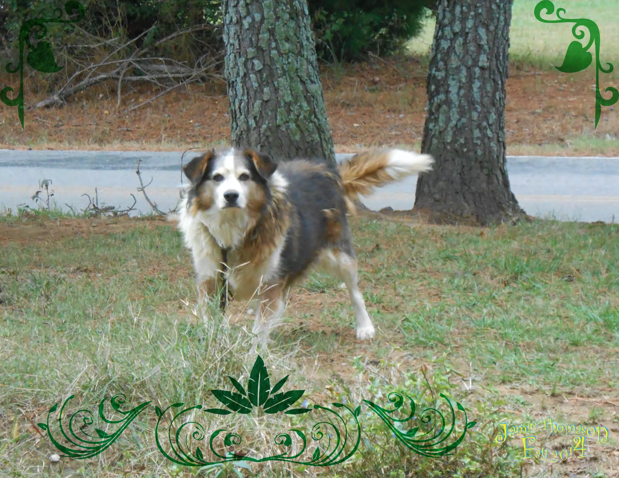 Embelishment Project