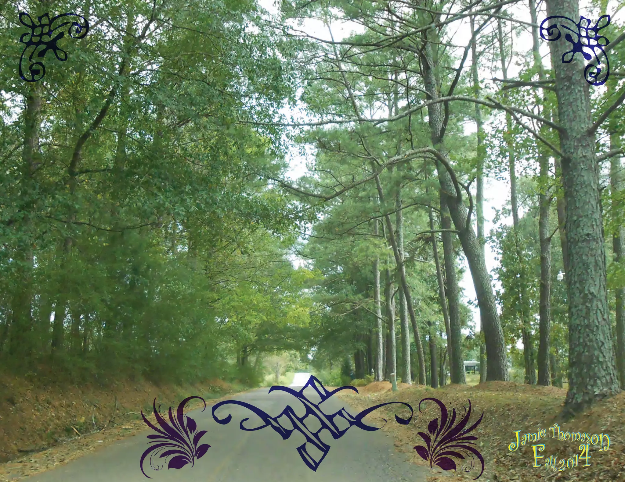 Embelishment Project