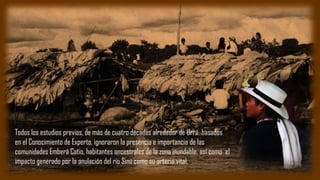 Todos los estudios previos, de más de cuatro décadas alrededor de Urrá, basados
en el Conocimiento de Experto, ignoraron la presencia e importancia de las
comunidades Emberá Catio, habitantes ancestrales de la zona inundable. así como el
impacto generado por la anulación del río Sinú como su arteria vital.
 