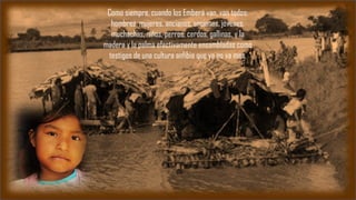 Como siempre, cuando los Emberá van, van todos:
hombres, mujeres, ancianos, ancianas, jóvenes,
muchachas, niños, perros, cerdos, gallinas, y la
madera y la palma efectivamente ensambladas como
testigos de una cultura anfibia que ya no va mas.
 