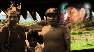 La negociación intercultural no fue efectiva, pues
por parte del gobierno y la empresa se mantuvo
una visión desarrollista,
y los amerígenas se vieron
imbuidos en una pelea para
la cual no tuvieron
los elementos adecuados.
 