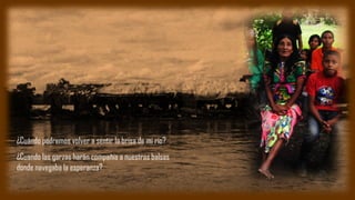 ¿Cuándo podremos volver a sentir la brisa de mi río?
¿Cuando las garzas harán compañía a nuestras balsas
donde navegaba la esperanza?
 