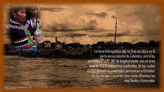 La hoya hidrográfica del río Sinú se ubica en la
parte noroccidental de Colombia, entre los
paralelos 7° y 9° 30’ de longitud oeste, con un área
total de 13.874 kilómetros cuadrados, de los cuales
12.600 kilómetros cuadrados pertenecen a Córdoba.
En su margen izquierda tiene como afluentes los
ríos Verde y Esmeralda.
Balsa Emberá Catio. Adiós al río Sinú. 1994
Foto: Alberto Piedra
 