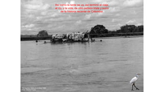 Así como la tarde se va, así terminó el viaje,
el río, y la vida, de otro pedazo triste y sucio
de la historia reciente de Colombia.
Navegante. Adiós al río Sinú. 1994
Foto: Alberto Piedra
 
