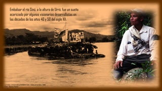 Embalsar el río Sinú, a la altura de Urrá, fue un sueño
acariciado por algunos visionarios desarrollistas en
las décadas d...