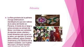 Artesania
 La fibra proviene de la palmera
chunga (Astrocarium
standleyanum) que son nativas
de la selva del Darién en
Panama. A través de un largo y
arduo proceso se extraen las
fibras. Los tintes son extraidos
de algunas raices, plantas y
frutas silvestres que crecen en
la selva, por ejemplo: El achiote
(Bixa orellana), jagua (Genipa
americana) y los reciduos de la
madera cocobolo. Las mujeres
Wounaan y Embera heredan
 