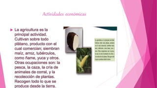 Actividades económicas
 La agricultura es la
principal actividad.
Cultivan sobre todo
plátano, producto con el
cual comercian; siembran
maíz, arroz, tubérculos,
como ñame, yuca y otros.
Otras ocupaciones son: la
pesca, la caza, la cría de
animales de corral, y la
recolección de plantas.
Recogen todo lo que se
produce desde la tierra.
 