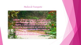 Medios de Transporte
Utilizan la piragua, canoa que construyen
con madera de espavé, cedro, cedro
espino, y pino amarillo. La vida de los
Emberá se desenvuelve en torno a los ríos.
También suelen utilizar como medio de
transporte los burros y los caballos para
moverse en el interior de la comarca.
 