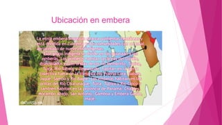 Ubicación en embera
La etnia emberá-wounaan abarca quinientas hectáreas y
está dividida en cuarenta y dos comunidades con un total
aproximado de nueve mil indígenas.
Este grupo indígena se divide en los wounaan y los
emberás. Los primeros habitan las áreas del Darién,
diseminados en las orillas de los río Membrillo, Tupiza,
Tuira, Río Sábalo y Jingurundo, habitan en la tierra
colectiva fuera de la comarca en: Puerto Lara, Balsas,
Jaqué, Sambú y Río Bagre. Los emberás habitan en las
orillas del Río Chucunaque, Tuira, Tupiza y Río Chico y
también habitan en la provincia de Panamá: Chagres,
Mocambo Abajo, San Antonio, Gamboa y Emberá Gatún,
majé.
 