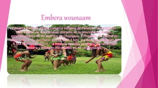 Embera wounaam
Comarca Embera es una comarca indígena de Panamá. Fue creada en
1983 a partir de dos enclaves ubicados en la provincia de Darién,,
específicamente de los distritos de Chepigana y Pinogana. Su capital es
Unión Choco.. Su extensión abarca 4383,5 km² y posee una población de
9.544 habitantes (2010),1 la mayoría de éstos pertenecen a las etnias
embera y wounaan distribuidas en 40 comunidades.
 