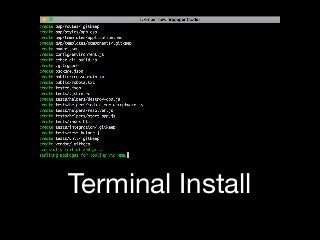 Terminal Install
 