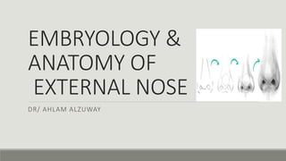 EMBRYOLOGY &
ANATOMY OF
EXTERNAL NOSE
DR/ AHLAM ALZUWAY
 
