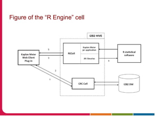 Figure of the “R Engine” cell
 