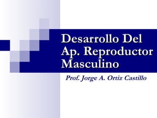 Prof. Jorge A. Ortiz Castillo
Desarrollo DelDesarrollo Del
Ap. ReproductorAp. Reproductor
MasculinoMasculino
 