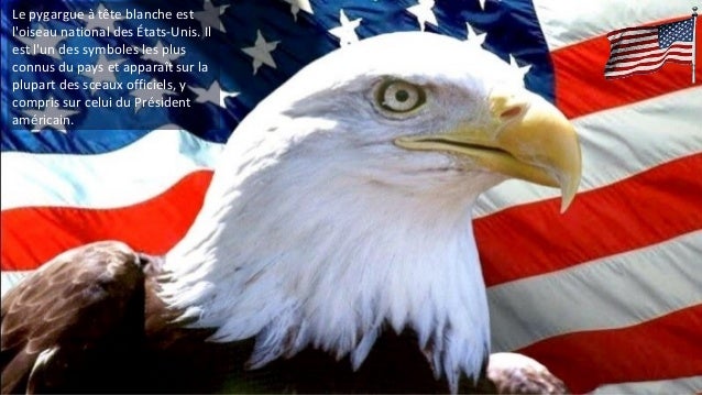 quel est animal symbolique des etats unis